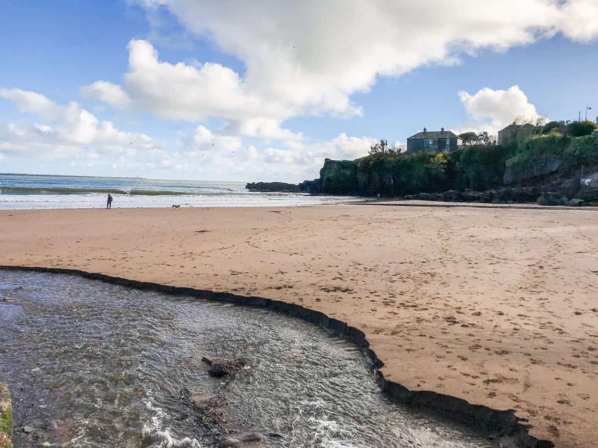 How To Start Nature Study The Kids Part